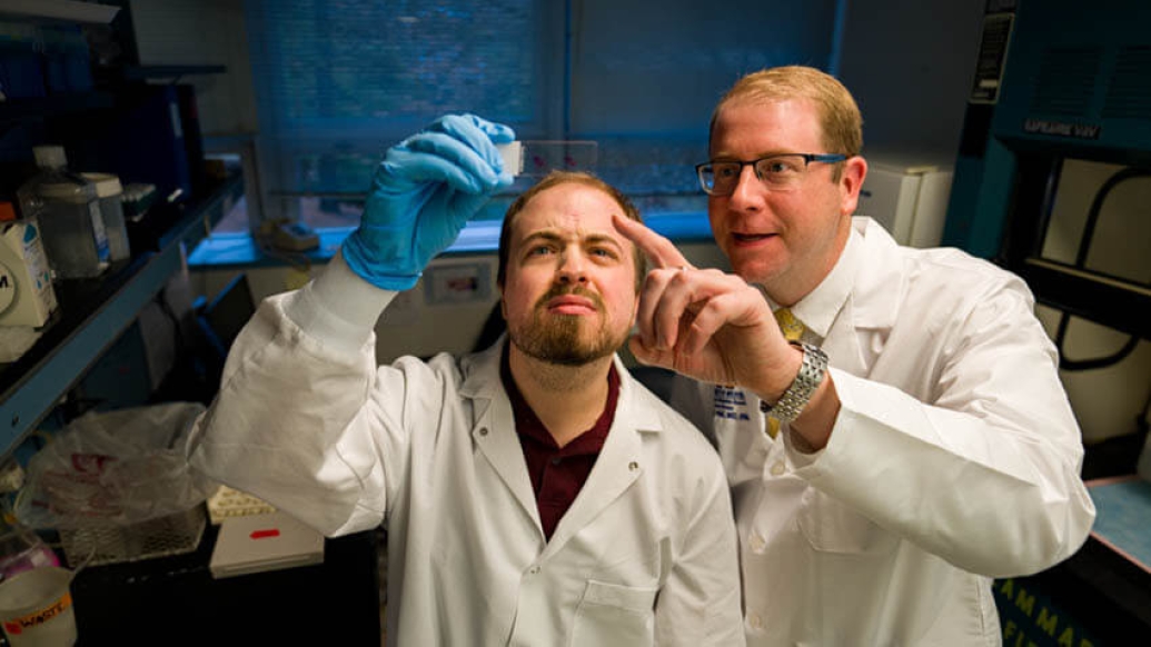2 doctors looking at slide in lab