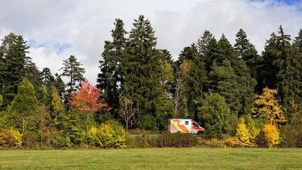lots of trees and some changing colors with ambulance driving