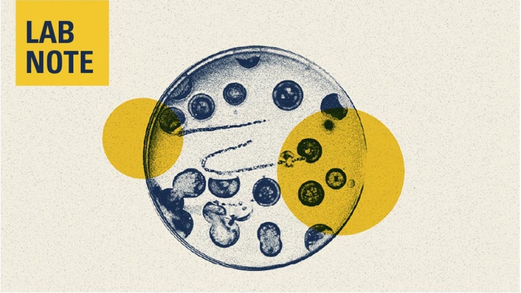 Bacteria image