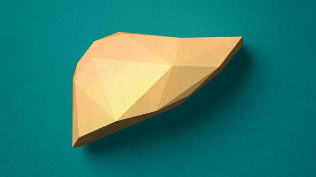 Brown Geometric paper liver on teal background