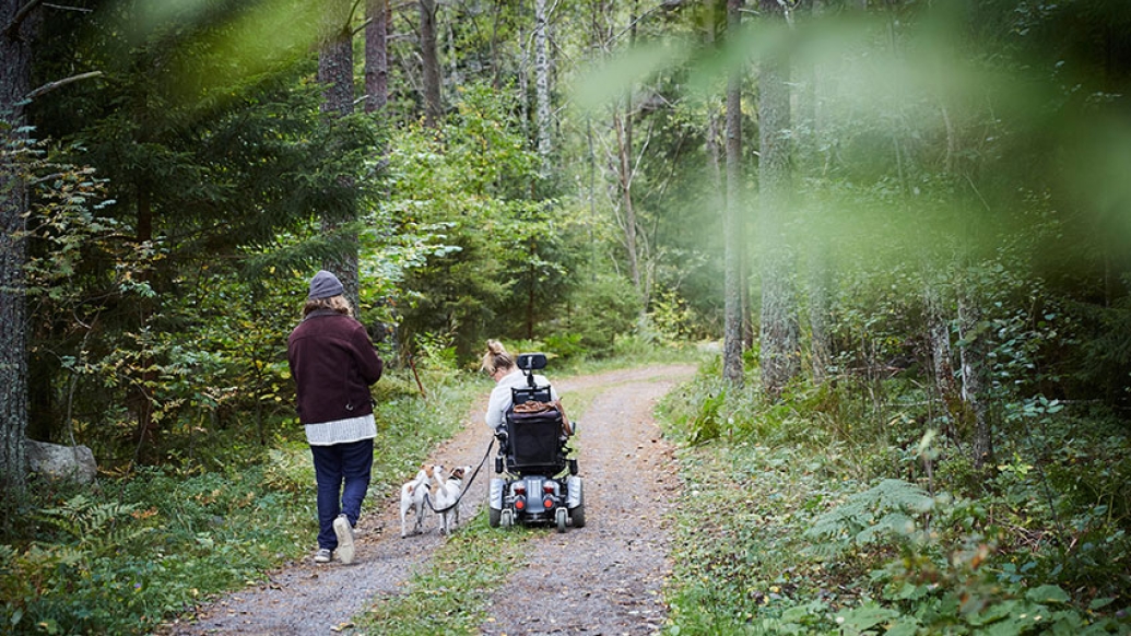 Woman, girl in a wheelchair with two white and brown dogs on a narrow wooded road