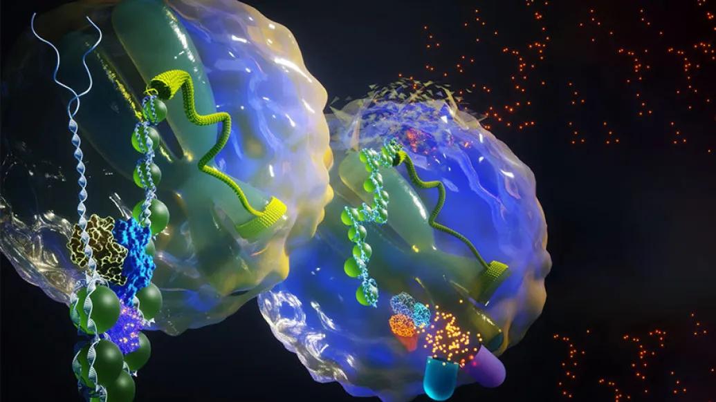 cells under microscope #D render particles