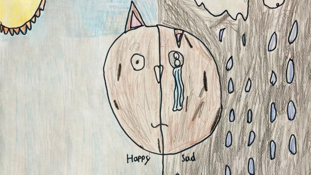 drawing by child with cat happy on one side and cat sad on other in rain