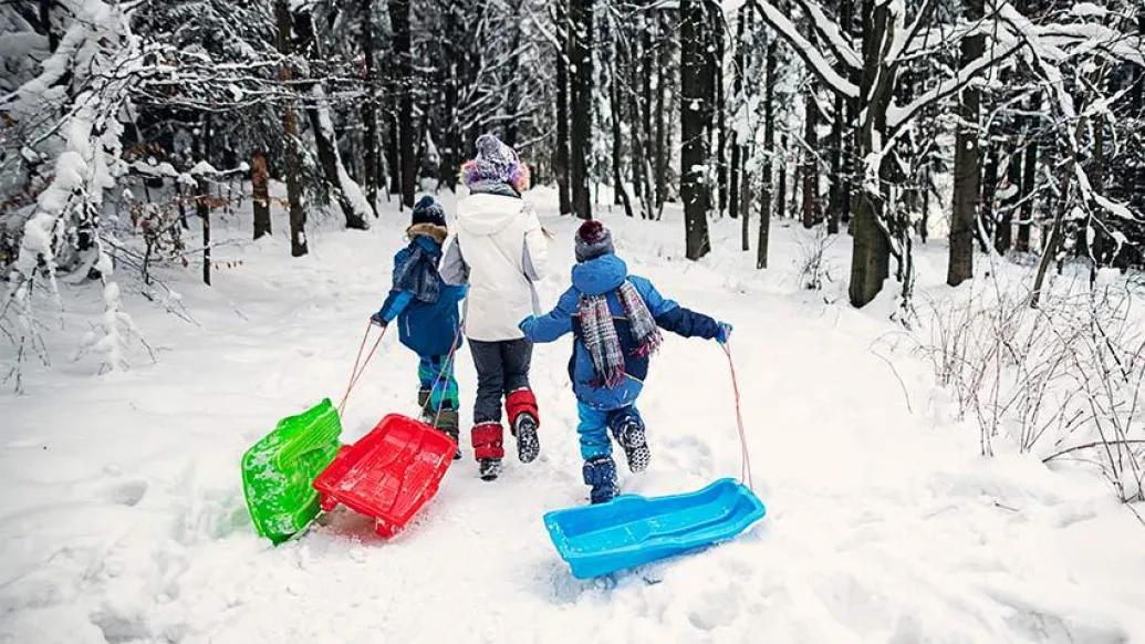 children running in woods with sleds behind them in green red and blue