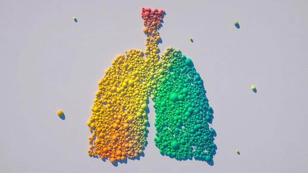 colorful rainbow circles marbles lungs