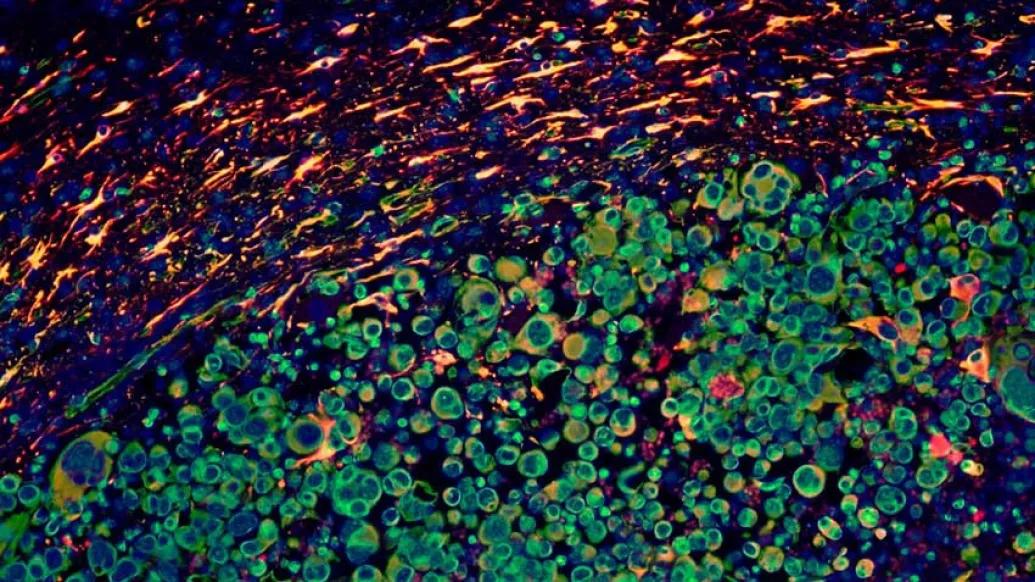 red green blue lab image on black background