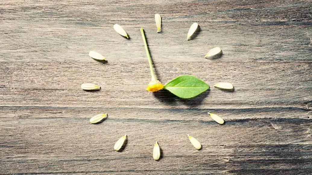flower petal clock with leaf on washed wood background