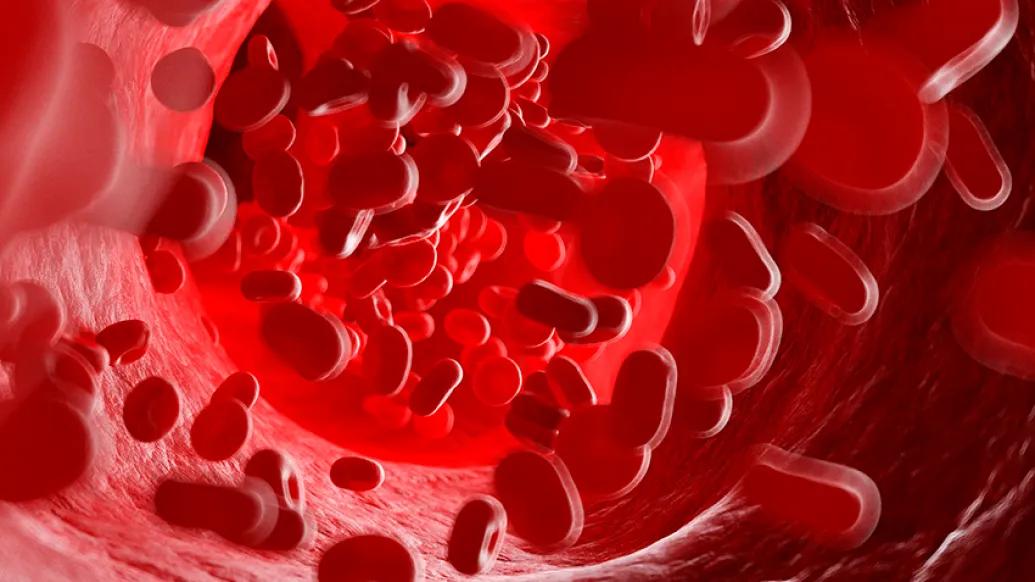 Red blood cells