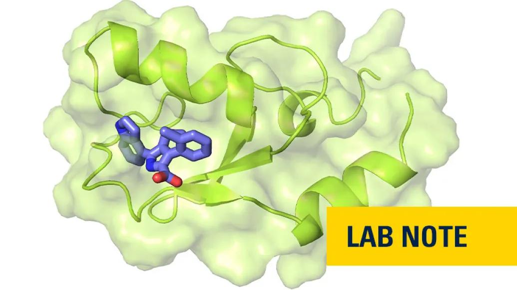 lime green structure with purple in left middle and lab note badge in navy and yellow in bottom right