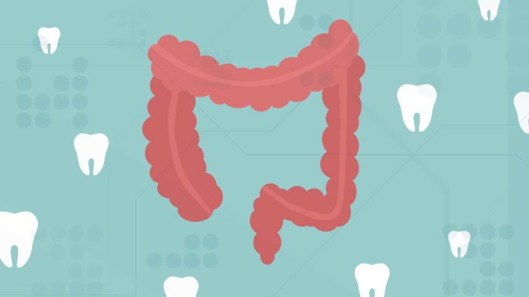 white teeth floating in background of red GI tract on teal blue background