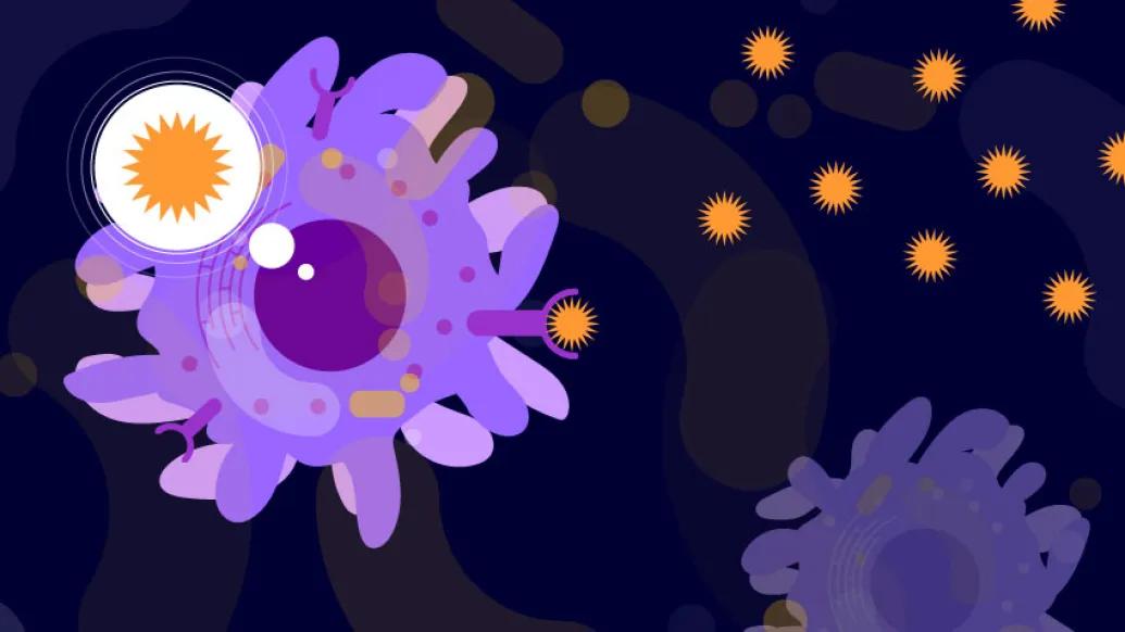 Immune system graphic 