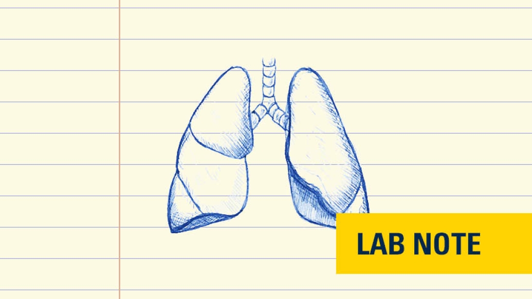 lungs drawn in blue ink with lab note written on bottom right with yellow background and blue text