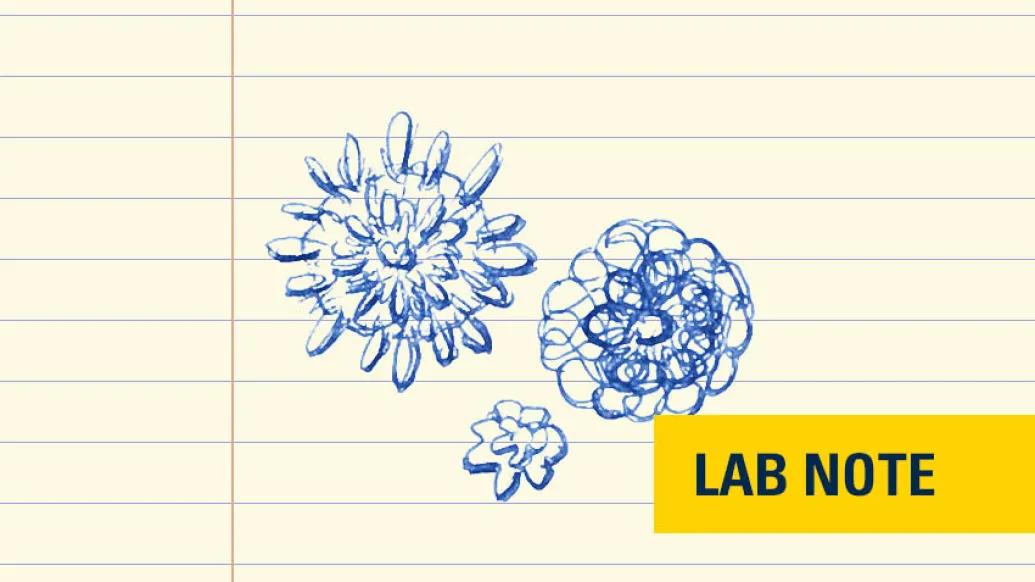 bacteria viruses drawn in blue ink on lined paper with yellow badge with words "lab note" in blue