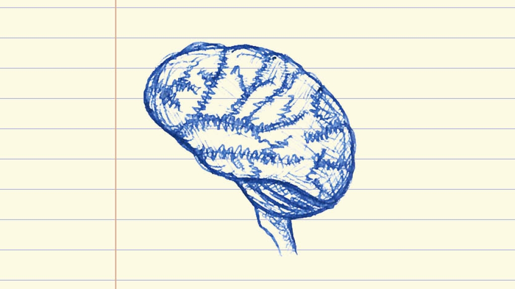 drawing of a brain in blue ink on lined note paper