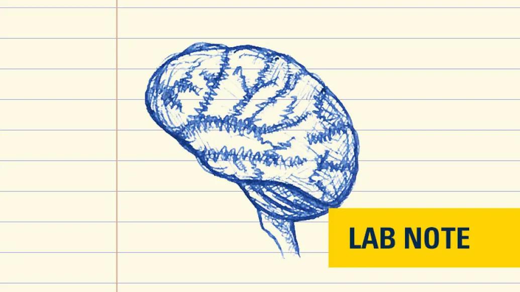 drawing of a brain in blue ink on lined paper with "lab note" branding on bottom right