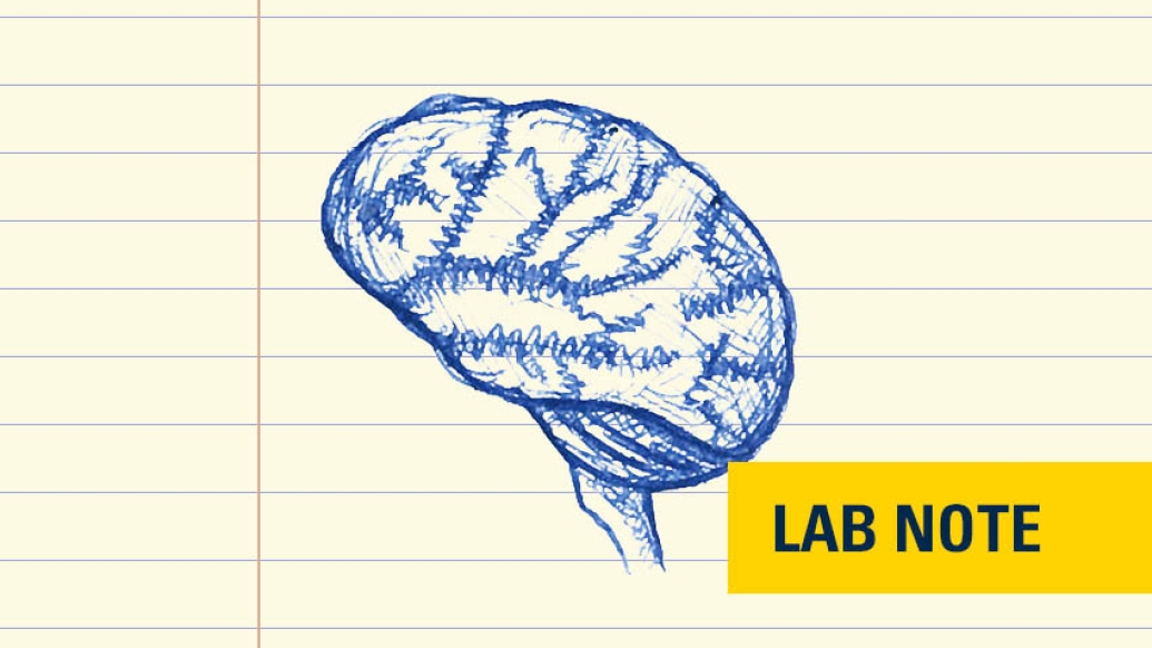 drawing of a brain in blue ink on lined paper with &quot;lab note&quot; branding on bottom right