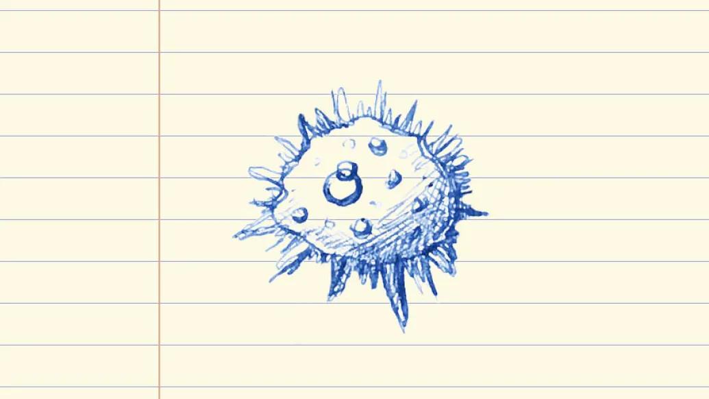 Cancer cell