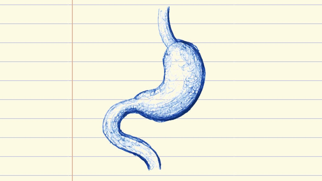 Stomach drawing on lined note paper