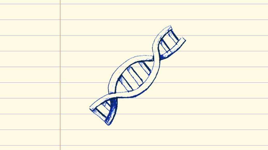 Drawing of a gene