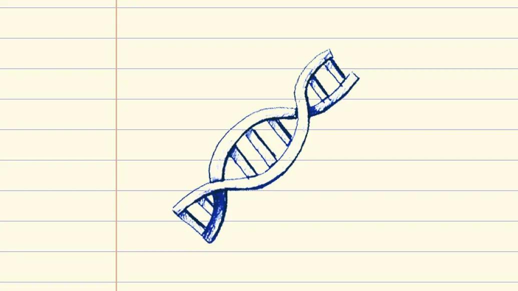 drawing of DNA on paper