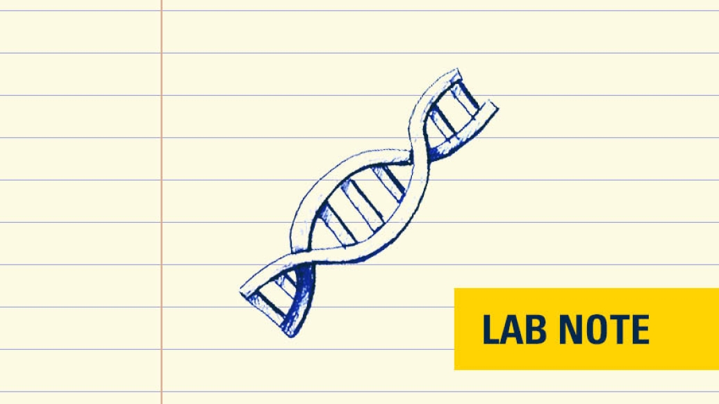 image of drawing of gene in blue ink on lined paper with lab note written on bottom right