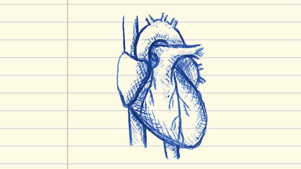 drawing on lined paper of heart in blue ink