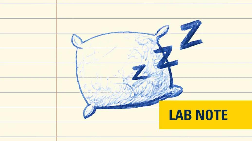 pillow drawn in blue ink on lined paper with yellow and navy font badge saying "lab note" on bottom right