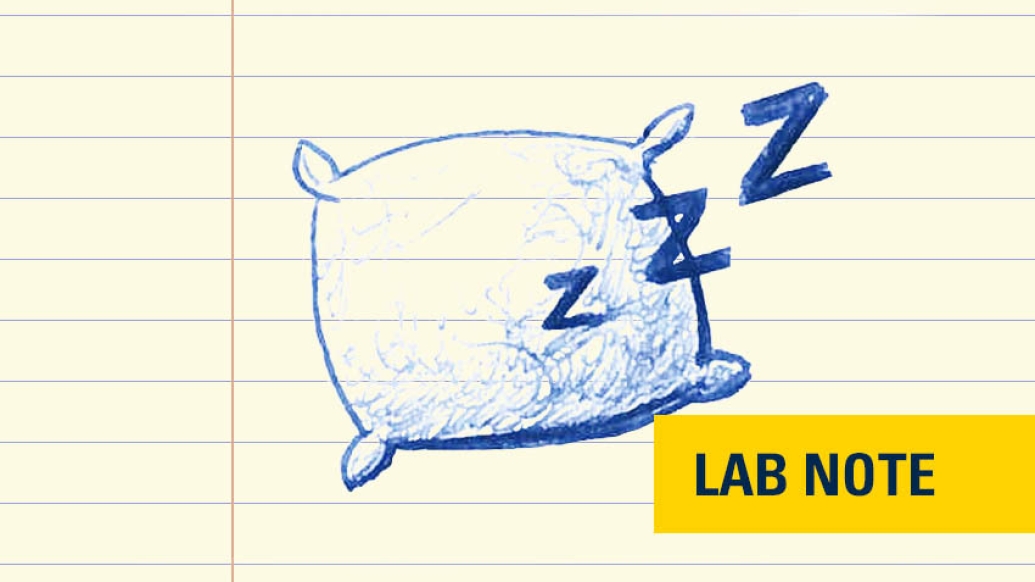 pillow drawn in blue ink on lined paper with yellow and navy font badge saying &quot;lab note&quot; on bottom right