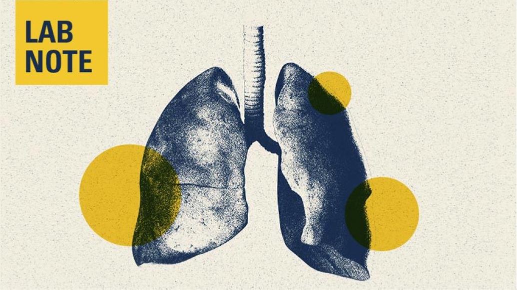 lungs drawing yellow blue lab note