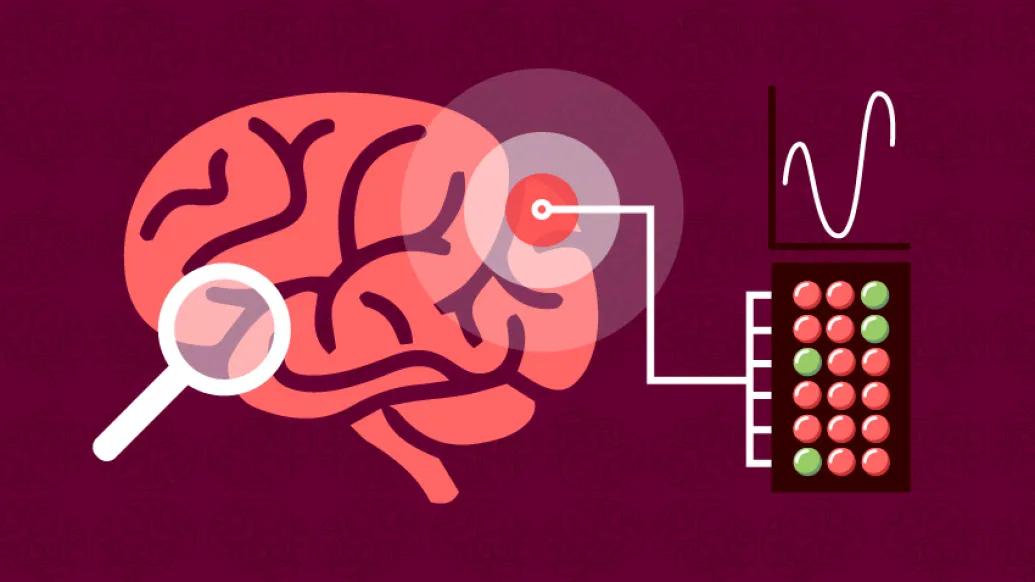 Brain