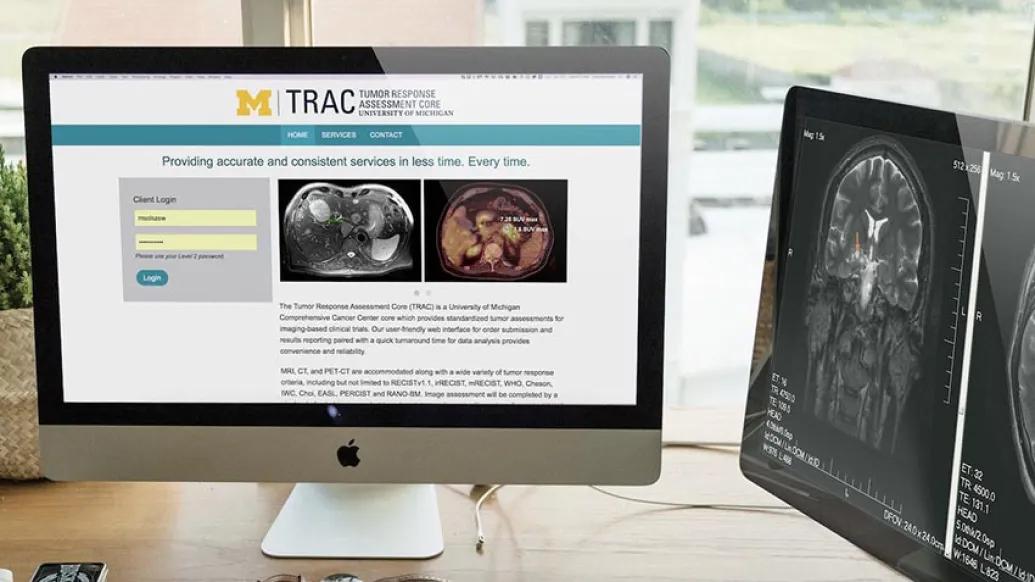 Website display of brain scans