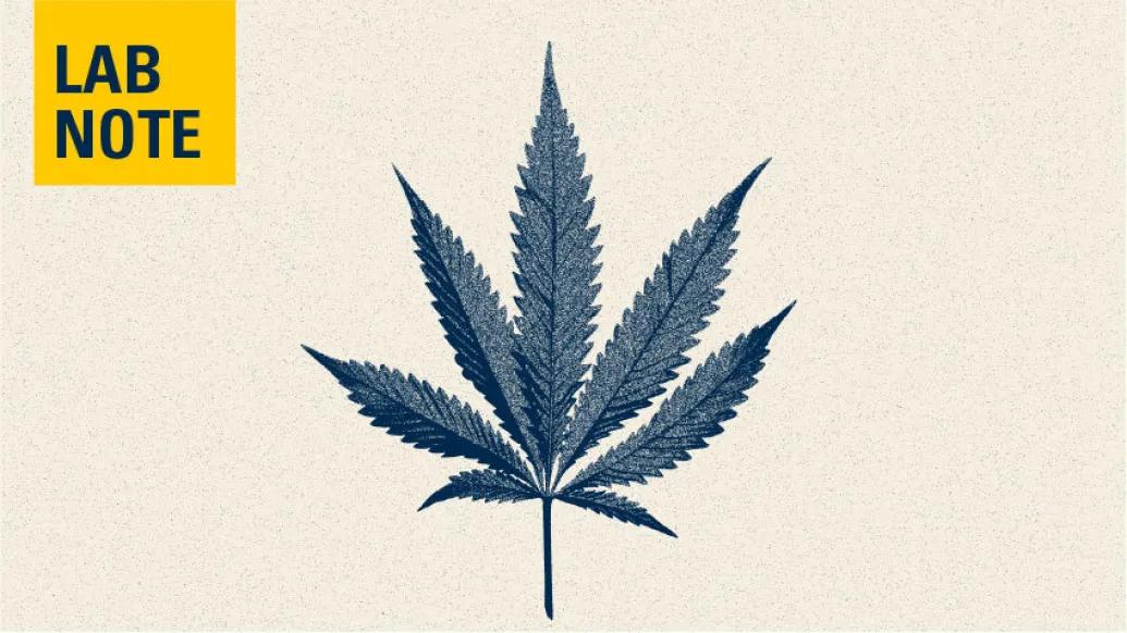 cannabis leaf lab note logo yellow blue
