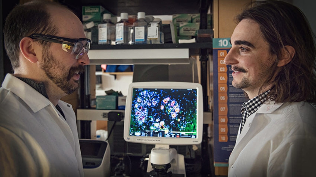 Men scientists facing each other in front of lab screen