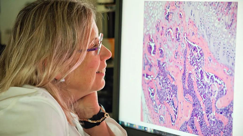 Doctor looking at screen