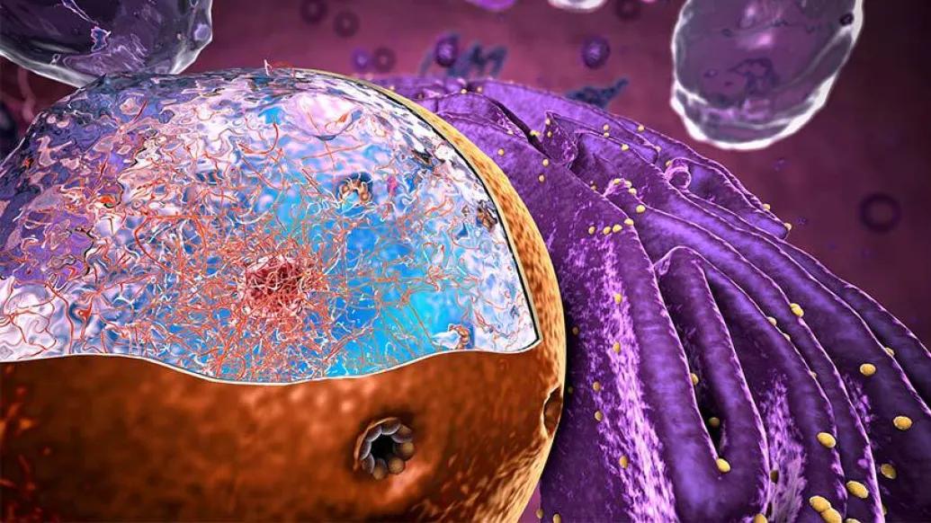 Microscopic-Cell-Nucleus-Proteins-Render