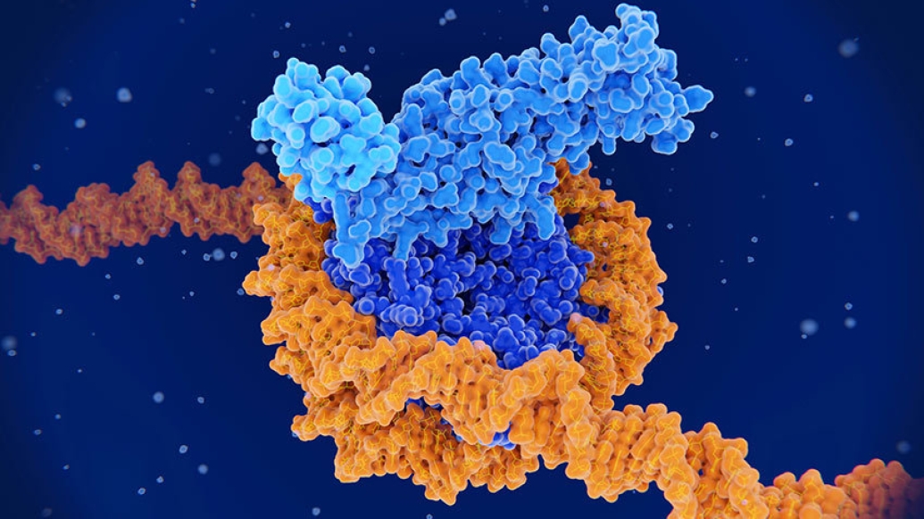 molecule protein microscopic blue orange