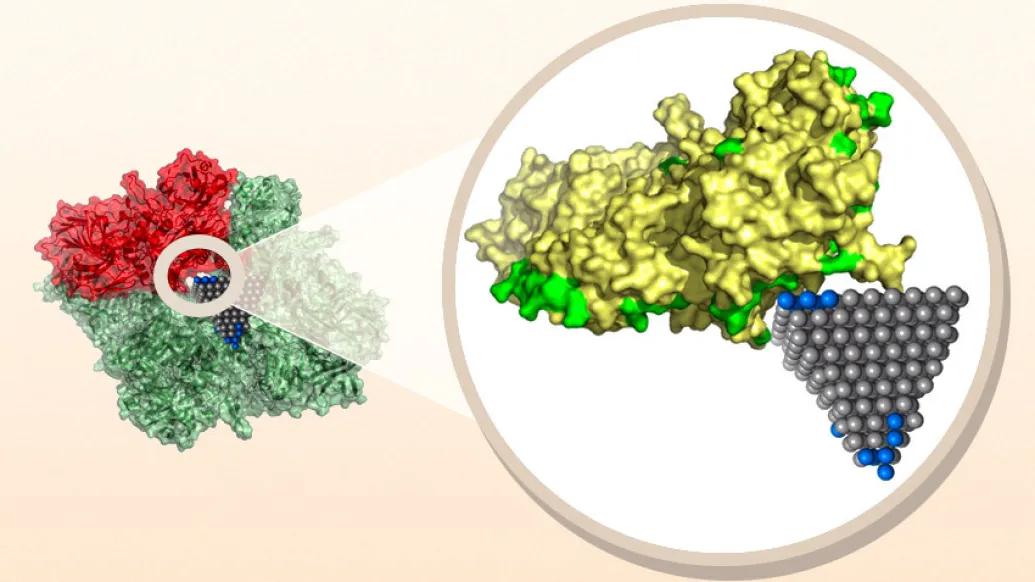 nanoparticle biotics science zoomed in yellow green red