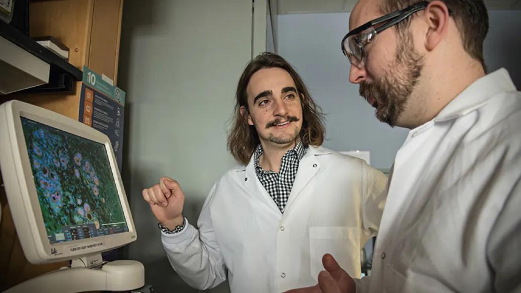 Doctors looking at screen