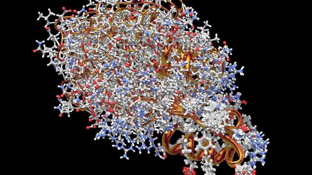 Proinsulin image