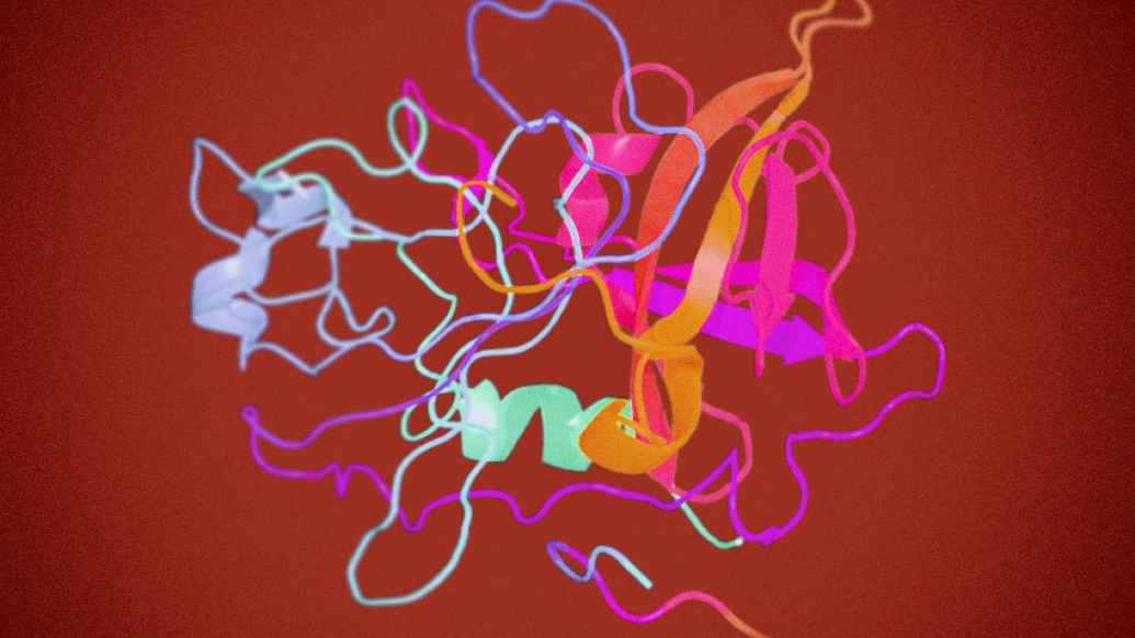 supar molecular receptor shapes squiggles 