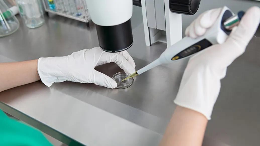A doctor reviewing a biopsy before preparing a pathology report