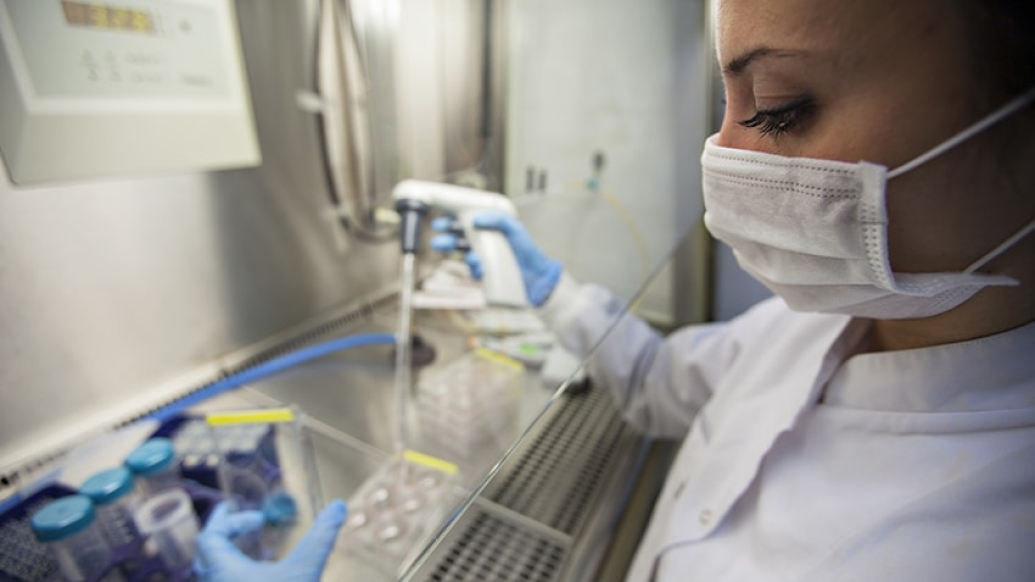 Scientist in a lab with EGFL6-blocking antibodies