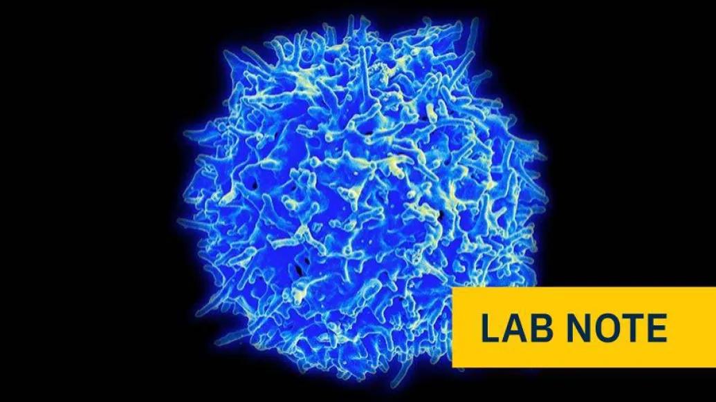blue cell with yellow badge saying lab note