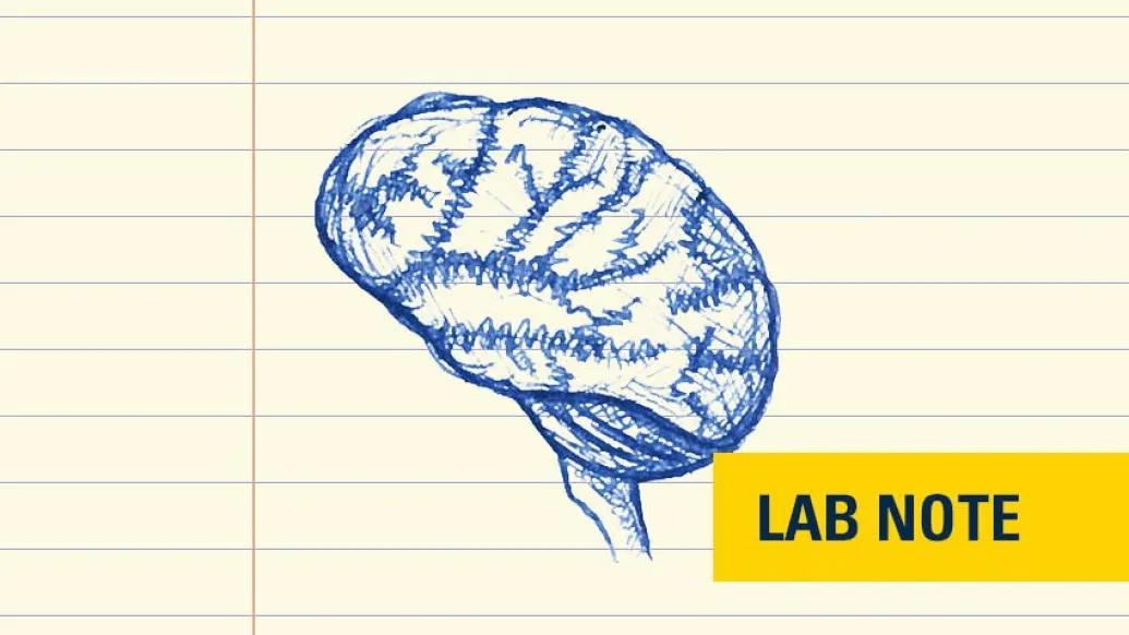 brain sketch in blue ink