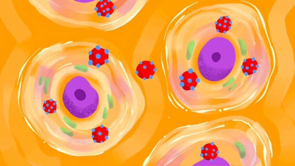 cancer cell nucleus virus orange pink