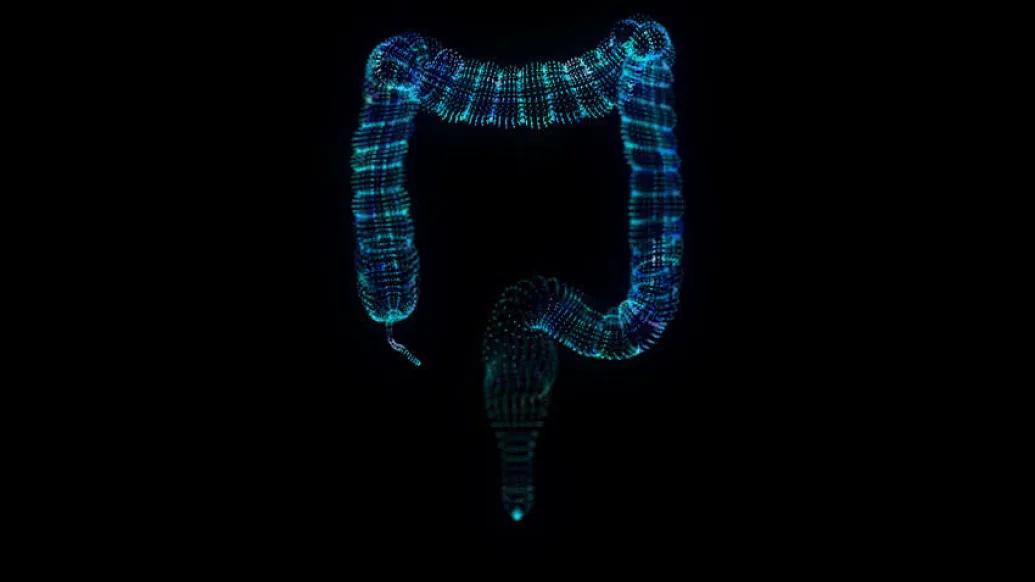 Image of colitis on black background