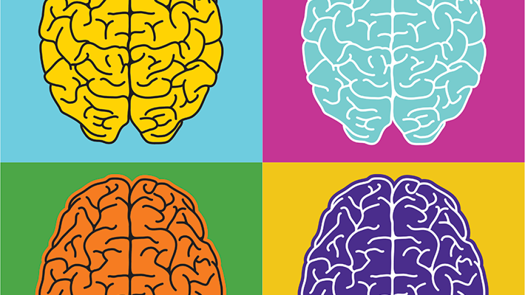 Graphic of four brains, each a different color (yellow, orange, blue, purple)