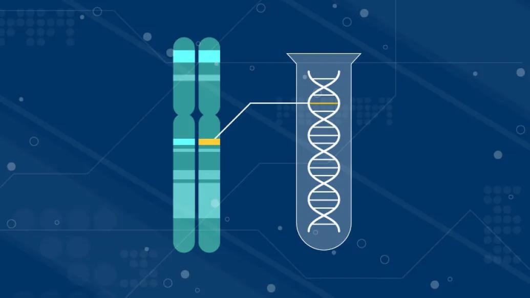 genetic testing DNA chromosomes in blue