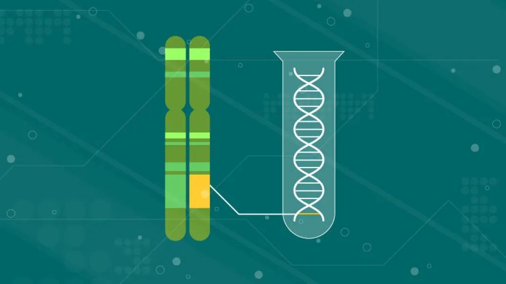 graphic drawing of chromosome on black background