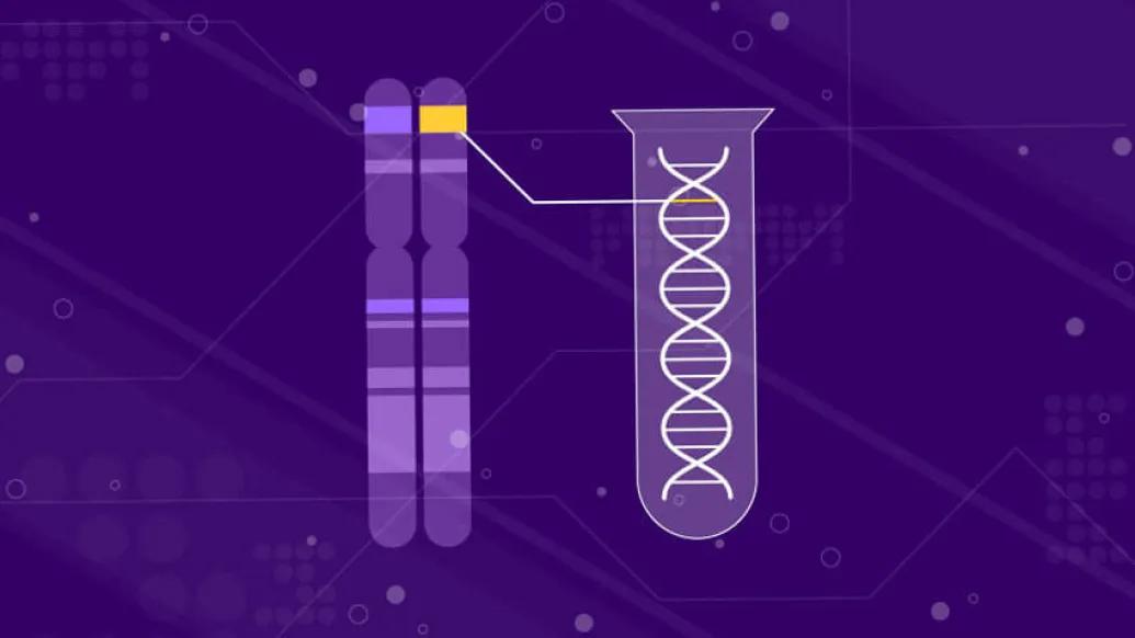 Genetic testing DNA chromosomes 3
